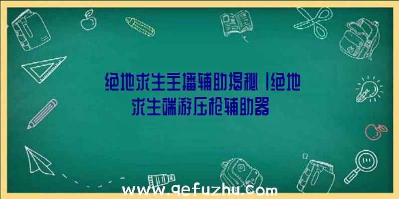 「绝地求生主播辅助揭秘」|绝地求生端游压枪辅助器